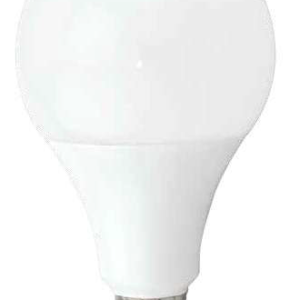 Lámpara Globo LED 19W E27 3000K