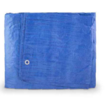 Toldo de Polietileno Azul 3x5M